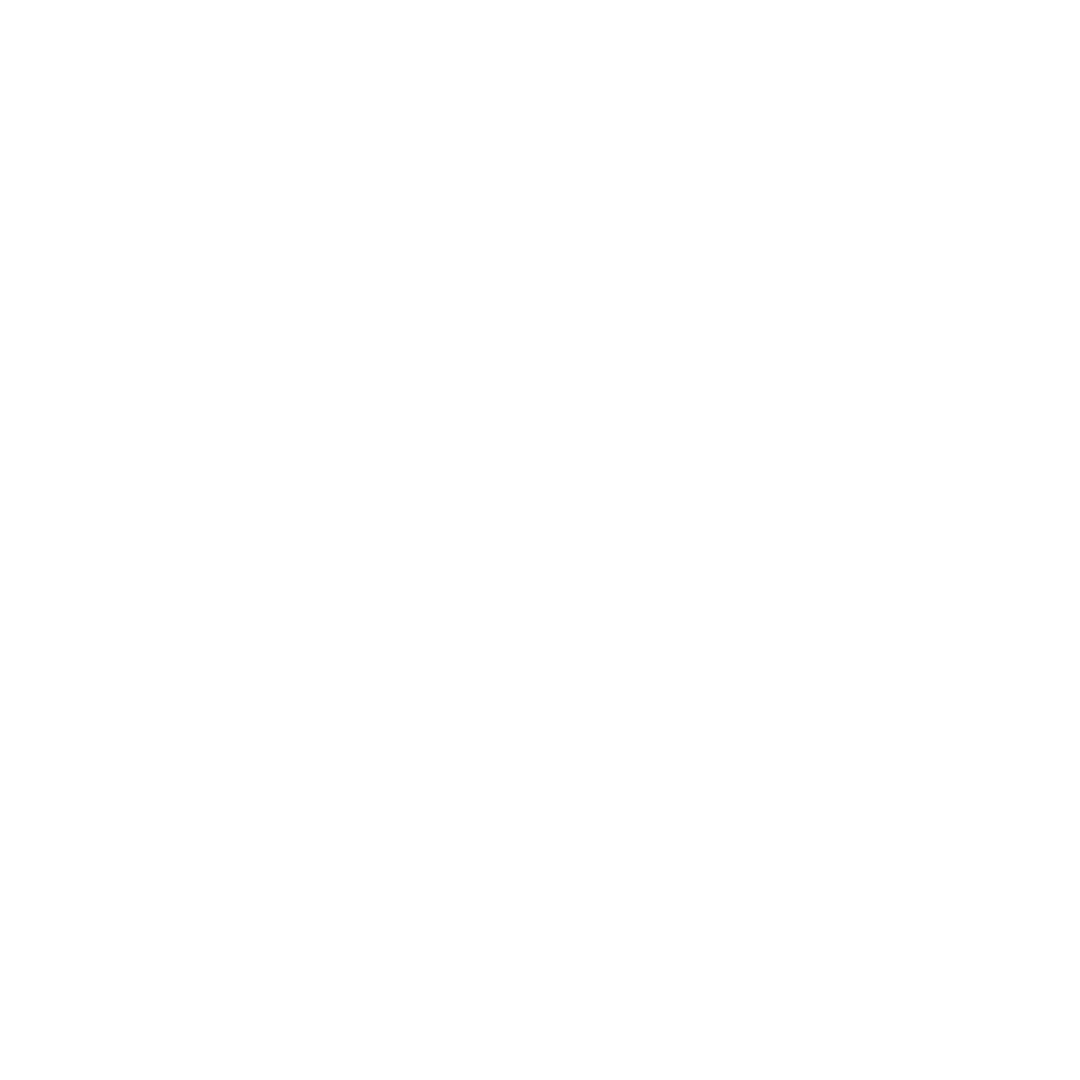 NuZones Logo